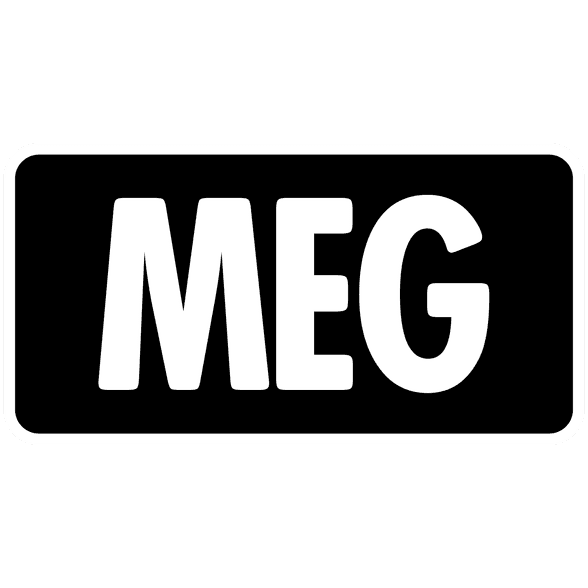 Mega Evolution