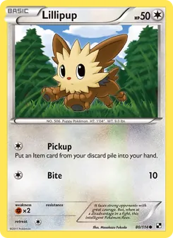 Kaart Lillipup