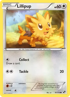 Kaart Lillipup