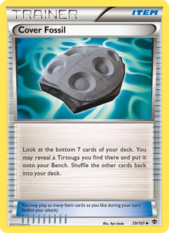 Kaart Cover Fossil