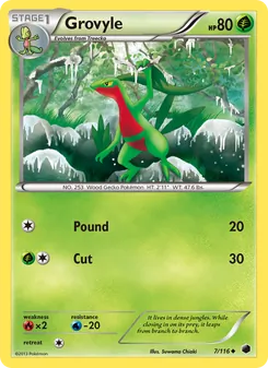 Kaart Grovyle