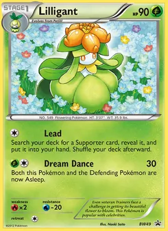 Kaart Lilligant