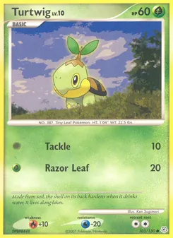 Kaart Turtwig