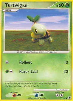 Kaart Turtwig
