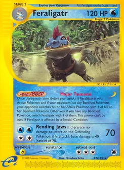 Kaart Feraligatr