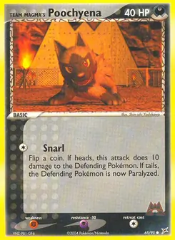 Kaart Team Magma's Poochyena