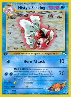 Kaart Misty's Seaking