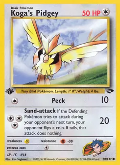 Kaart Koga's Pidgey