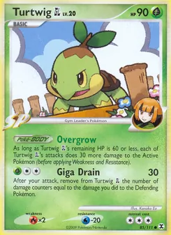 Kaart Turtwig GL