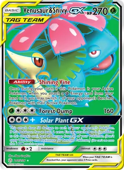 Kaart Venusaur & Snivy GX