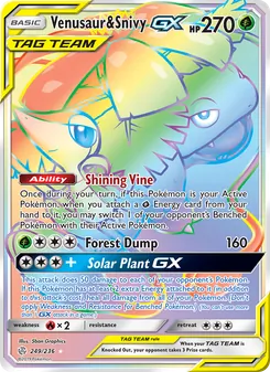 Kaart Venusaur & Snivy GX