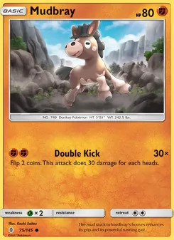 Kaart Mudbray