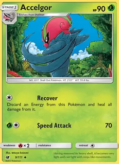 Kaart Accelgor
