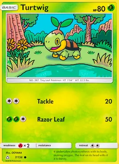 Kaart Turtwig