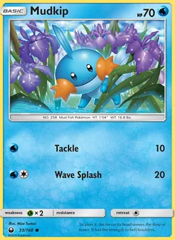 Kaart Mudkip