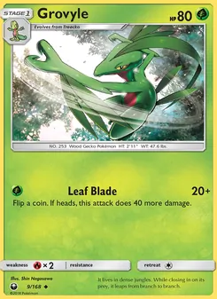 Kaart Grovyle