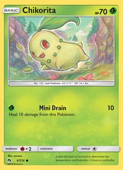 Kaart Chikorita