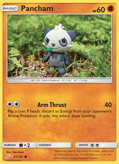 Kaart Pancham