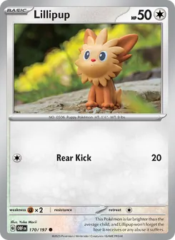 Kaart Lillipup