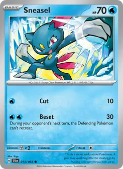 Kaart Sneasel