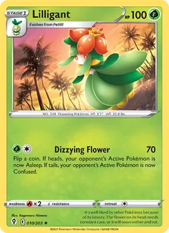 Kaart Lilligant