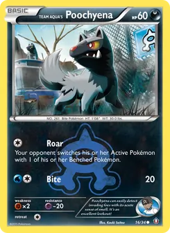 Kaart Team Aqua's Poochyena