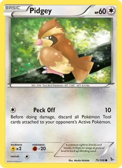 Kaart Pidgey