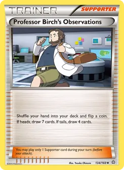 Kaart Professor Birch's Observations