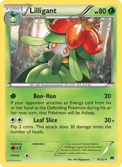 Kaart Lilligant