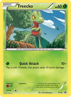 Kaart Treecko
