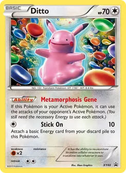Kaart Ditto